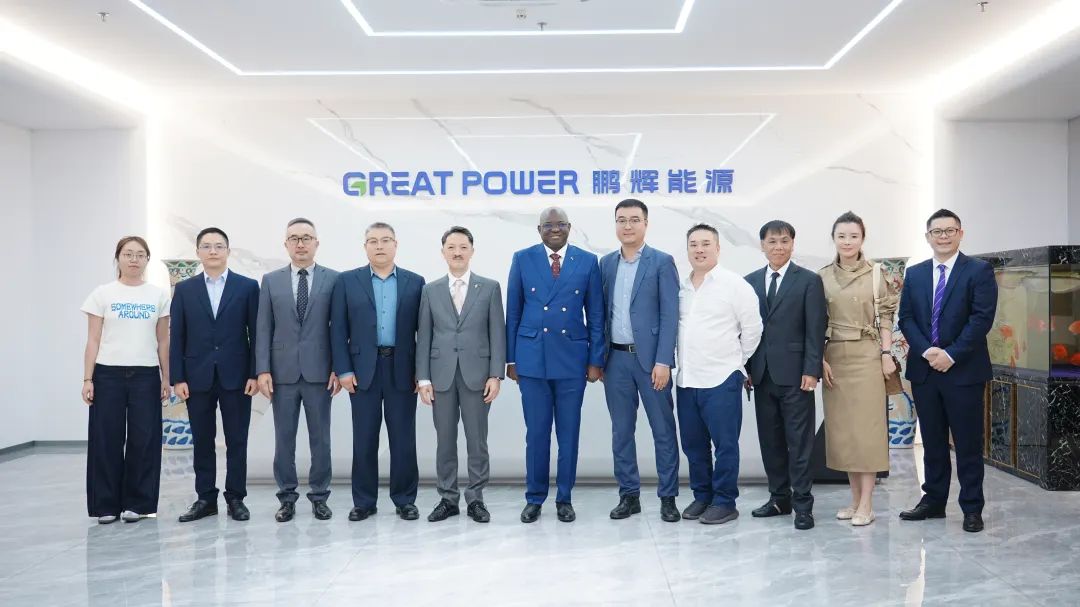 岡比亞共和國駐華大使到訪鵬輝能源，共商西非光儲項目合作